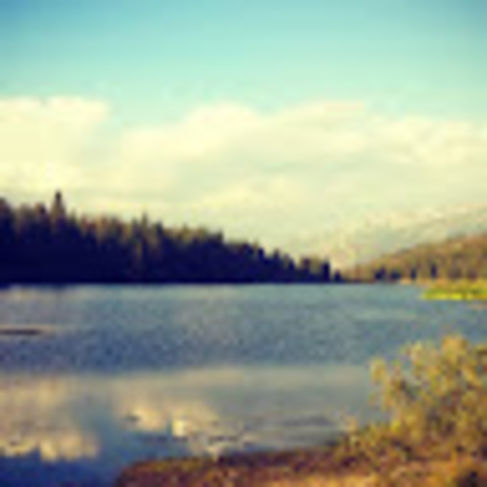 Meet your Posher, Jeanine